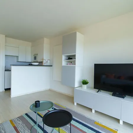 De Zandroos - Zicht Op Duinen En Zee