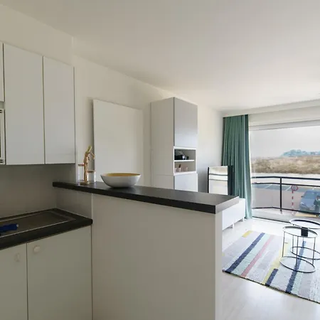 De Zandroos - Zicht Op Duinen En Zee デ パンネ